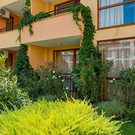 Paradise Dreams Menada 스베티 블라스